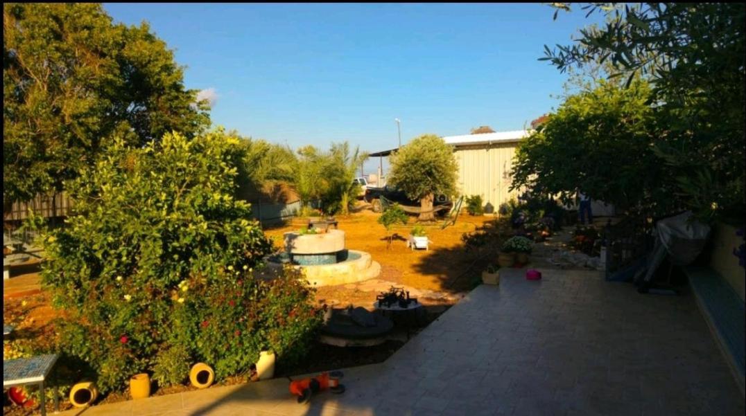 Hazonבחצר של טובהアパートメント エクステリア 写真